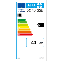 ATMOS Holzvergaser DC 40 GSE 40 kW