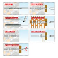 Tox Allzweck-Schuppendübel 4AS-K 10/66 mit Kappe, in Dose a 47 Stk