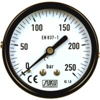 Heizungs-Manometer Anzeigenbereich 63mm 0-10bar d=1/4" Kunststoff hinten/axial